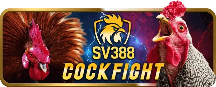 Đá gà trực tuyến Hi823